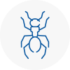 Ant Removals In Seacroft