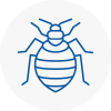 Bed Bug Extermination In Seacroft
