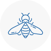 Bee Nest Removal Seacroft