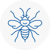 Seacroft Hornet Nest Removals
