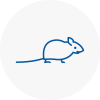 Mice Exterminators In Seacroft