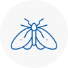 Moth Control Specialists In Seacroft