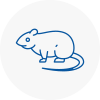 Rat Control Seacroft
