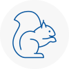 Seacroft Rodent Removals