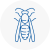 Seacroft Wasp Nest Removal